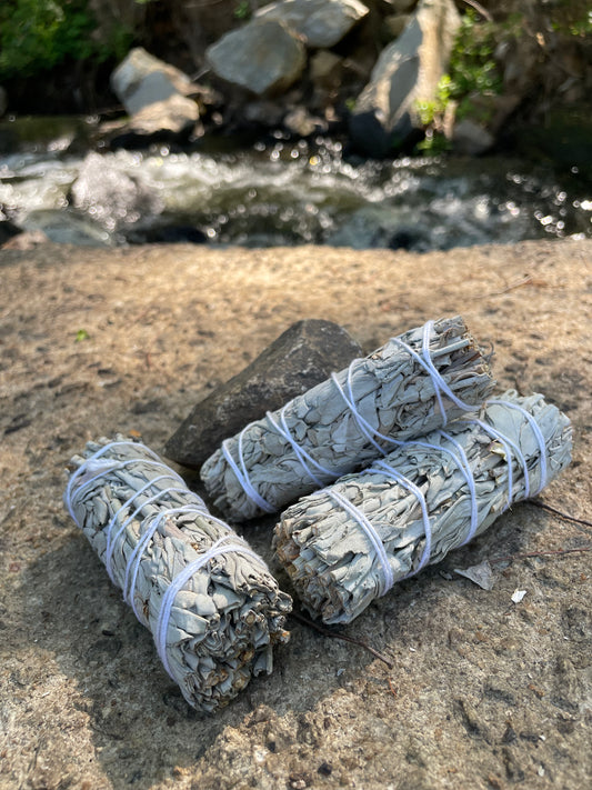 White Sage Smudge Stick